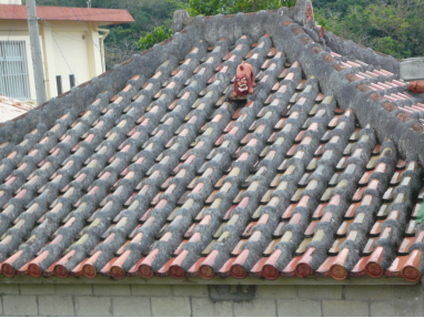 roof.jpg